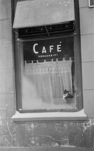 221138 Afbeelding van een poes achter het raam van een café in, waarschijnlijk, Wijk C te Utrecht.